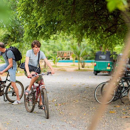 Sigiriya Cottage Ngoại thất bức ảnh