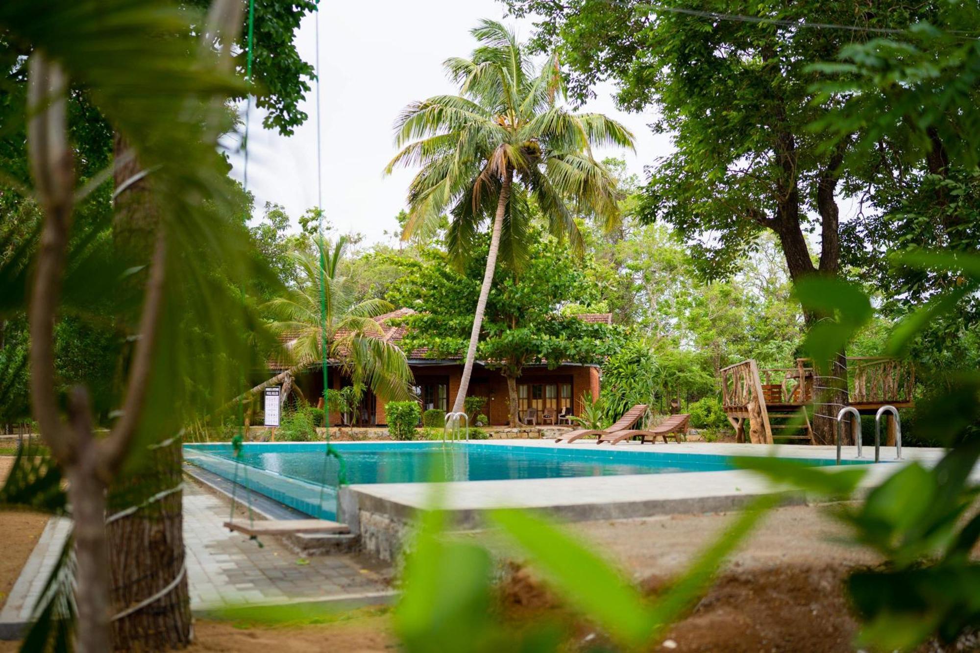 Sigiriya Cottage Ngoại thất bức ảnh
