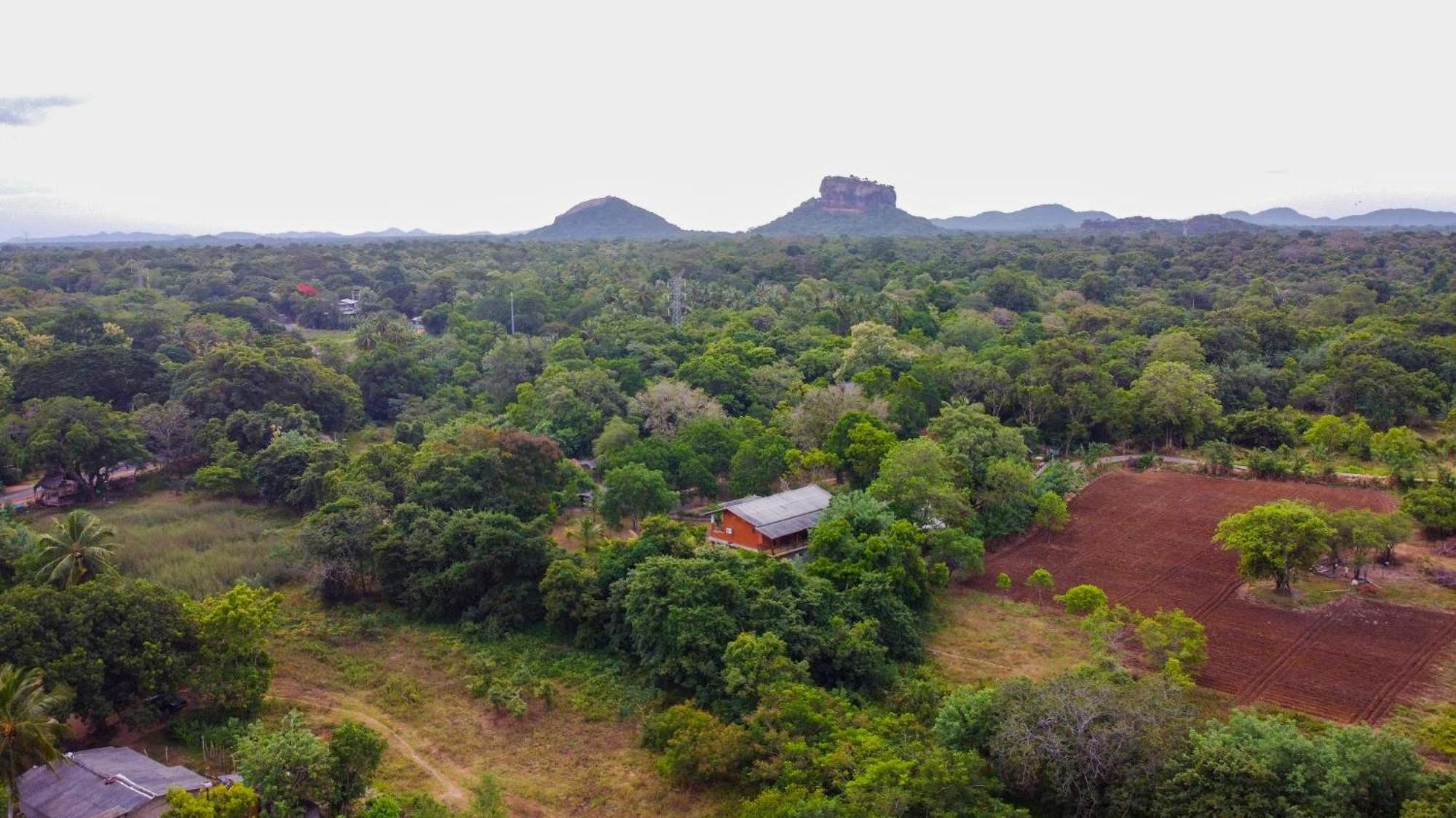 Sigiriya Cottage Ngoại thất bức ảnh